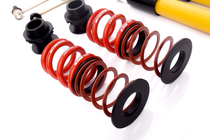 MTS Technik Sport Schroefset voor BMW 3 (E46) 12/1997 – 05/2005