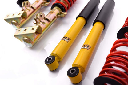 MTS Technik schroefset Stance BMW 3 Compact (E36) 1994-2000 zonder camberplaten – Goud