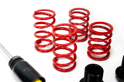 MTS Technik Stance Schroefset voor Audi TT (8N) 1998–2006 zonder camber plates – Inox (roestvrij staal)