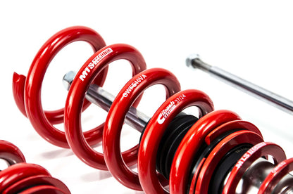 MTS Technik Street Schroefset voor Audi A4 B7 (8E) 2004–2008 zonder camber plates – Inox (roestvrij staal)