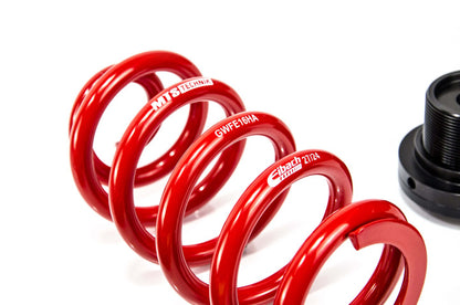 MTS Technik Street Schroefset voor Audi A4 B7 (8E) 2004–2008 zonder camber plates – Inox (roestvrij staal)