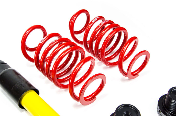 MTS Technik Street Schroefset voor Audi A4 B8 (8K) 2007–2015 zonder camber plates – Inox (roestvrij staal)